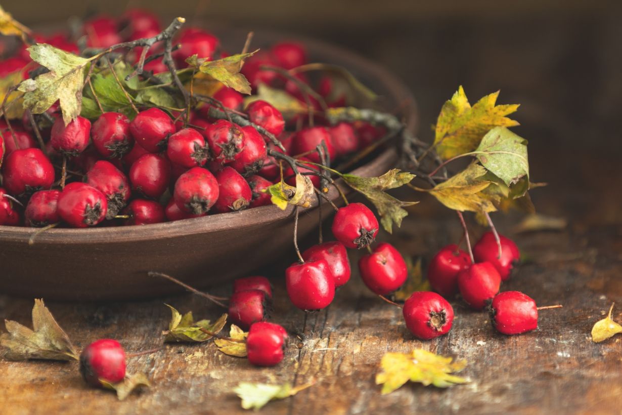 Hawthorn berry.