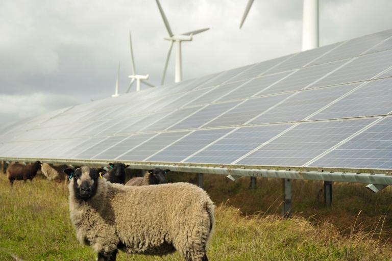 Not sure what to think about renewables? Get informed!