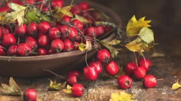Hawthorn berry.